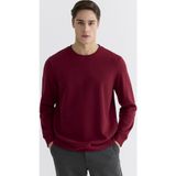 LC Waikiki LCWAIKIKI Classic Kırmızı Bisiklet Yaka Erkek Sweatshirt