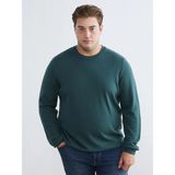 LC Waikiki Lcwaıkıkı Classic Petrol Bisiklet Yaka Erkek Triko Kazak - 3XL - 4XL