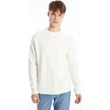 Lc Waikiki Yeni Sezon Bisiklet Yaka Erkek Triko Kazak - Ekru - 2XL