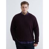 Lc Waikiki Yeni Sezon Bisiklet Yaka Erkek Triko Kazak - Mürdüm - 3XL - 4XL