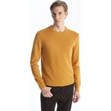 Lc Waikiki Yeni Sezon Bisiklet Yaka Erkek Triko Kazak - Sarı - 2XL