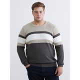 Lc Waikiki Yeni Sezon Bisiklet Yaka Renk Bloklu Erkek Triko Kazak - Haki - 3XL - 4XL