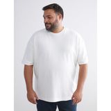 Lc Waikiki Yeni Sezon Büyük Beden Kısa Kollu Erkek Tişört - Ekru - 6XL