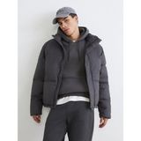 Lc Waikiki Yeni Sezon Dik Yaka Erkek Şişme Mont - 2XL - Antrasit