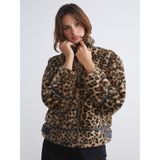 Lc Waikiki Yeni Sezon Dik Yaka Leopar Desenli Kadın Mont - Kahverengi - 38