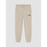 Lc Waikiki Yeni Sezon Erkek Çocuk Jogger Eşofman Altı - Açık Bej - 9 - 10 Yaş