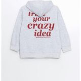Lc Waikiki Yeni Sezon Kapüşonlu Kız Çocuk Sweatshirt - Gri - 8 - 9 Yaş