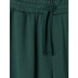 Lc Waıkıkı Yeşil Regular Fit Erkek Pijama Alt Şort
