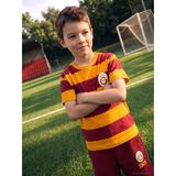 Lcw Baby Kırmızı Bisiklet Yaka Çizgili Galatasaray Erkek Bebek Tişört