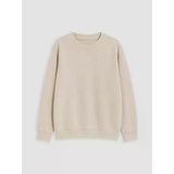 Lcw Kids Bej Bisiklet Yaka Erkek Çocuk Sweatshirt