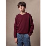 LCW Kids Bordo Erkek Çocuk Kalın Sweatshirt