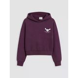Lcw Kids Cinnamoroll Baskılı Kız Çocuk Soft Touch Sweatshirt