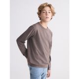 LCW Kids Kahverengi Bisiklet Yaka Erkek Çocuk Sweatshirt