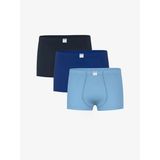 Lcw Kids Lacivert Basic Erkek Çocuk Boxer 3'Lü