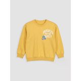 Lcw Kids Sarı Baskılı Erkek Çocuk Sweatshirt