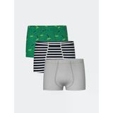 Lcw Kids Yeşil Baskılı Erkek Çocuk Boxer 3'Lü