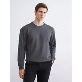 Lcw Vision Antrasit Bisiklet Yaka Nakışlı Erkek Sweatshirt