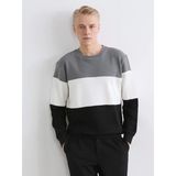 Lcw Vision Antrasit Bisiklet Yaka Renk Bloklu Erkek Sweatshirt