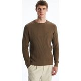 Lcw Vision Bej Bisiklet Yaka Erkek Triko Kazak - 2XL