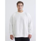 Lcw Vision Beyaz Büyük Beden Bisiklet Yaka Erkek Sweatshirt