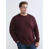 Lcw Vision Bordo Bisiklet Yaka Erkek Kalın Sweatshirt