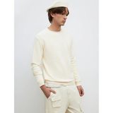 Lcw Vision Ekru Bisiklet Yaka Erkek Triko Kazak - 2XL