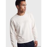 Lcw Vision Gri Bisiklet Yaka Baskılı Erkek Kalın Sweatshirt