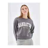 Lcw Vision Gri Bisiklet Yaka Baskılı Oversize Kadın Kalın Sweatshirt İmrex Global