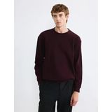 Lcw Vision Kahverengi Bisiklet Yaka Kalın Kumaş Erkek Sweatshirt