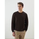 Lcw Vision Kahverengi Bisiklet Yaka Uzun Kollu Erkek Sweatshirt