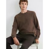 Lcw Vision Kahverengi Regular Fit Bisiklet Yaka Erkek Triko Sweatshirt