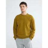 Lcw Vision Yeşil Bisiklet Yaka Erkek Sweatshirt