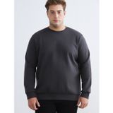 Lcwaıkıkı Classic Antrasit Büyük Beden Bisiklet Yaka Erkek Sweatshirt