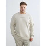 Lcwaıkıkı Classic Bej Büyük Beden Bisiklet Yaka Baskılı Kalın Erkek Sweatshirt