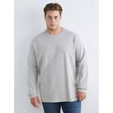 Lcwaıkıkı Classic Gri Büyük Beden Bisiklet Yaka Baskılı Erkek Sweatshirt