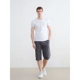 Lcwaıkıkı Classic Gri Regular Fit Erkek Şort