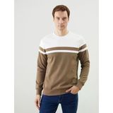 Lcwaıkıkı Classic Kahverengi Bisiklet Yaka Uzun Kollu Renk Bloklu Erkek Sweatshirt