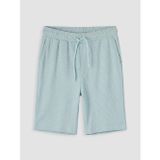 Lcwaıkıkı Classic Turkuaz Regular Fit Erkek Şort
