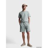 Lcwaıkıkı Classic Yeşil Regular Fit Erkek Şort