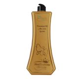 Le Charme Naturel 1 lt Kıl Yoğunlaştırıcı Şampuan