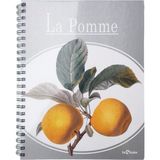 Le Color Elma Desen 2+1 Kareli & Çizgili 235X300 Spiralli Defter - Renkli