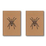 Le Color Kraft Defter Düz Örümcek (2 paketi)