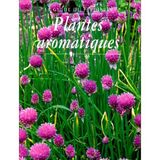 Le Guide Du Jardinier. Plantes Aromatiques