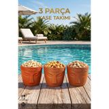 LE PARİS 3 Parça Dekoratif Kase Takımı | Çerezlik & Atıştırmalık Sunum Kasesi | BPA Free | Gıda Temasına Uygun