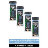 Le Petit Marseillais Lpm Duş Jeli 400 ml Minareller Ve Sedir Ağacı X4 Adet Lif