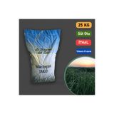 Le Stagioni İthal Rye Grass, Reygras Otu, Italyan Çimi (süt Otu) Tohumu 25 Kg