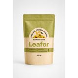 Leafor Organik Ayçekirdeği Protein Tozu | Bitkisel Protein, %100 Katkısız, Vegan