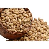 Leblebihane Antep Fıstığı - 1 kg