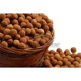Leblebihane Tarçınlı Leblebi - 1 kg