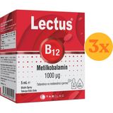 Lectus B12 Metilkobalamin 1000 Mcg Sprey 5 ml - 3 Adet (Toplam 15 Ml) - Dezenfektan Hediyeli (%72 Alkol)